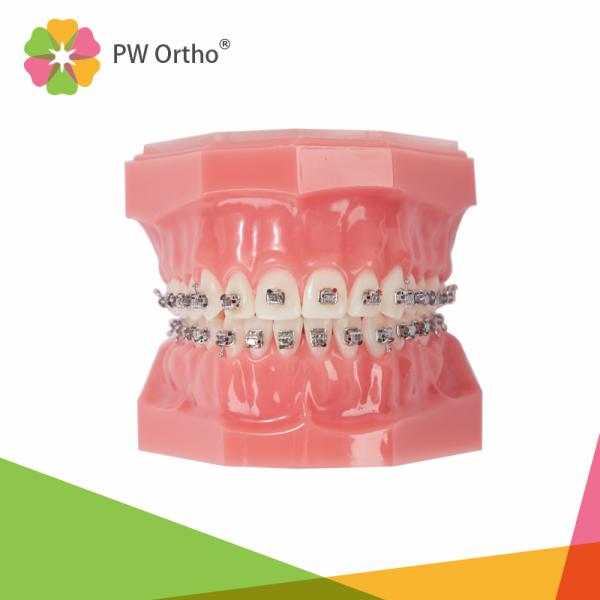 Dental Products Disposable Passive Damon Self Ligating Braces