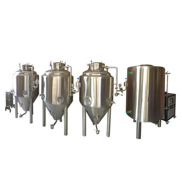 300lt Microbrewery Equipment Stainless Steel Fermentation Tank for Beer and Kombucha