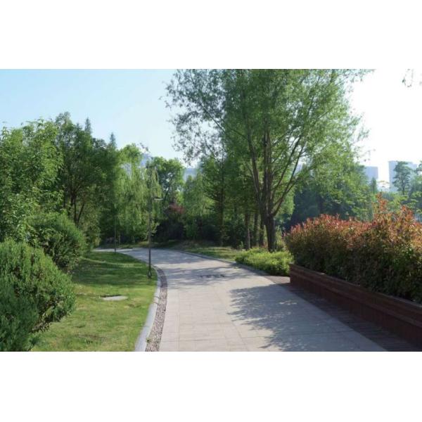 Waterproof IP66 50W 6500LM 6500K 277V LED Roadway Lights