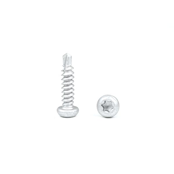 Pan Head Torx Drive Self Drilling Tapping Screw for Metal in 304 Stainless Steel