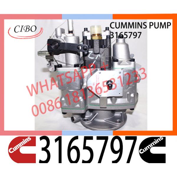 Diesel Engine Parts Fuel Pump 3165797 3165692 Engine accessories