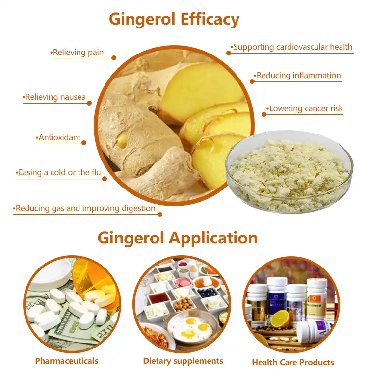 Ginger root powder benefits Ginger Extract Powder 1%-20% Gingerol