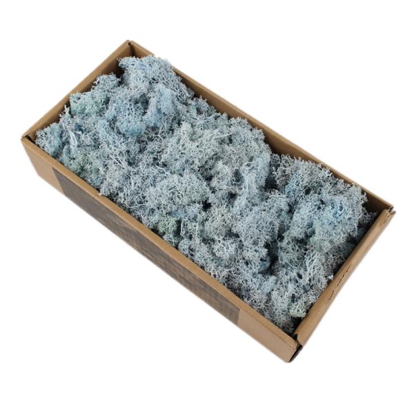 Wedding Preserved Natural Moss , Preserved Moss Wall Decoration