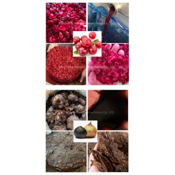 Commercial Hydraulic Cold Press Juicer with 50-500T Cylinder Pressure 1650*942*2270mm