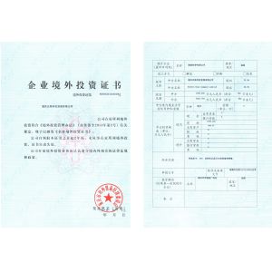 Chongqing Big Science & Technology Development Co., Ltd. Certifications