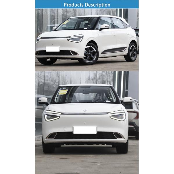 Pure 430 Dongfeng Nano Box EV Electric Car SUV 2024 Energy Vehicle Forward Shift Number 5