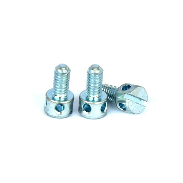 Electric meter screw