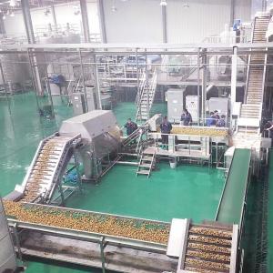 Quality Juice Processing Machine Juice Manufacturing Plant For Seabuckthorn wholesale