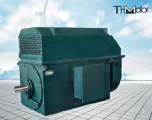 Quality 941 Rpm 400kw to 6000kw 3 Phase Induction High Voltage Electric Motors 6kv wholesale