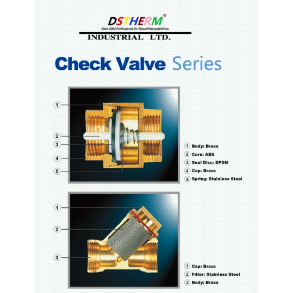 1/2-4 Inch NPT BSP Thread Soft Seal Brass Swing Check Valve