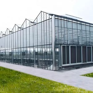 Galvanized Steel Venlo Greenhouse Commercial Polycarbonate Greenhouse With