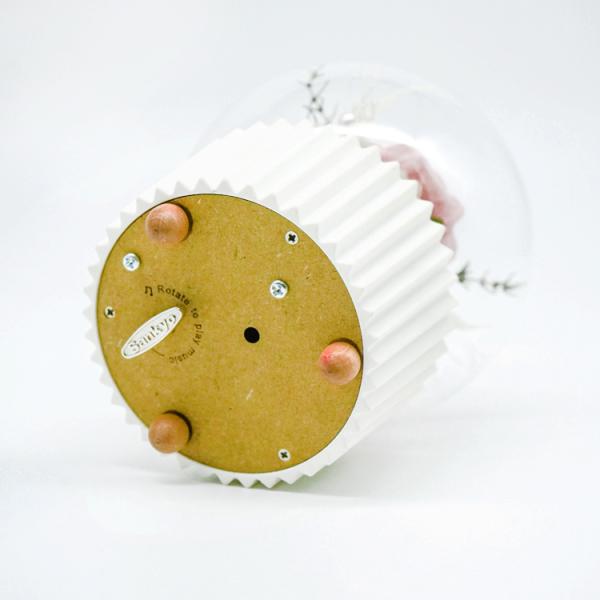 3-5 Years Lasting Preserved Rose Glass Dome Beautiful Home Decor Day Gift