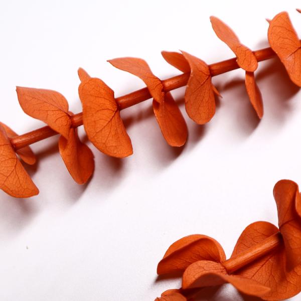 Customized Natural Preserved Foliage For Gift / Wedding / Home / Shop