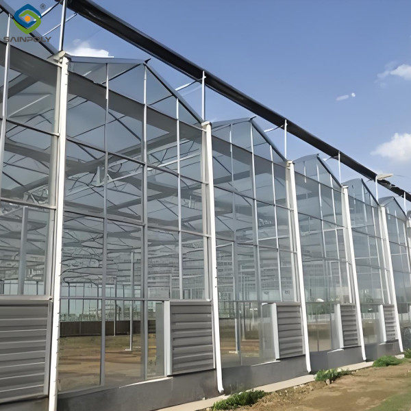 Anti Reflective Automatic Venlo Glass Greenhouse With Agricultural Farming Systems