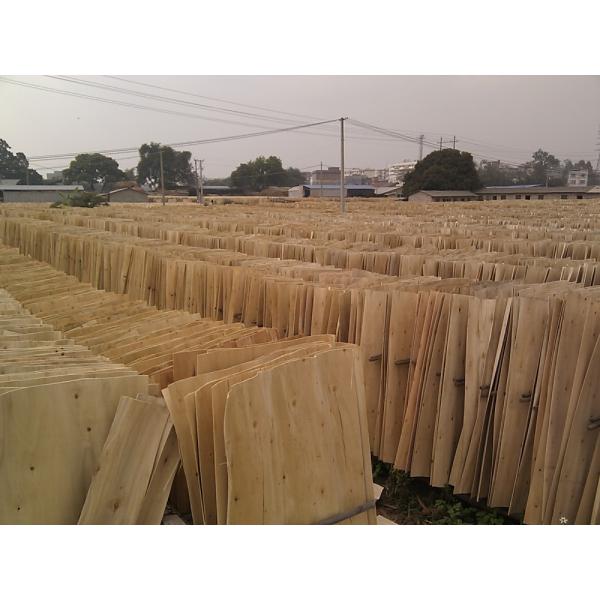 Two Times Hot Press Formwork 9mm Film Faced Plywood