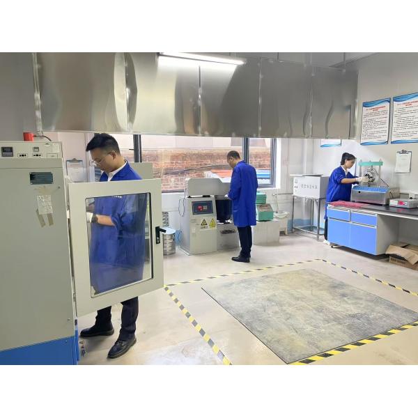 ODM Scania Truck Air Spring Shock Absorber 2493165 1908097 S8098 S2201