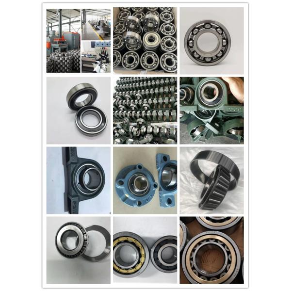 Long Lifetime F-57063 Cylinder Roller Bearing