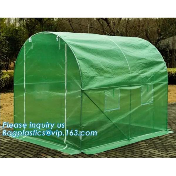 PE protective film customized green house for agriculture anti frost,Venlo Glass Agricultural Green house, SUPPLIES, PAC