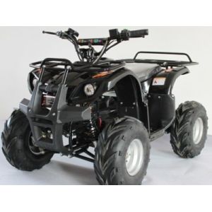 Quality 500w/800w/1000w Electric ATV wholesale