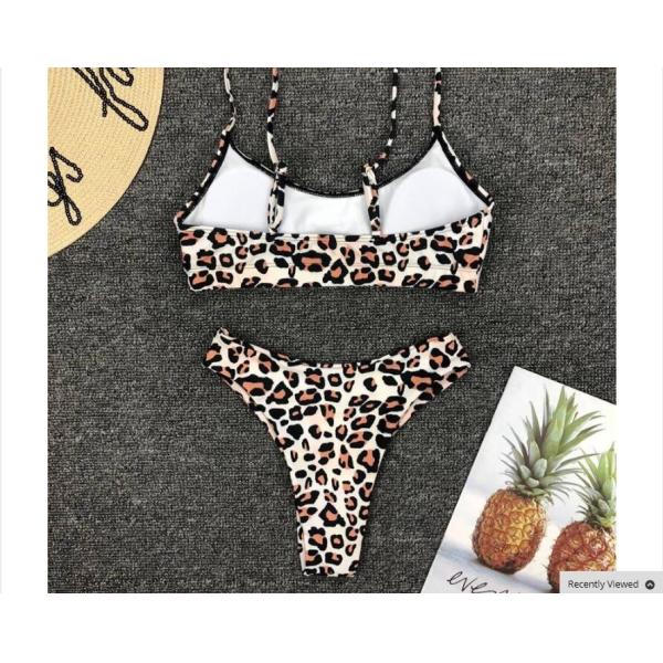 Sexy Leopard Bikinis 2018 Micro Bikini Push up Thong Bikini High Cut Swimsuit Women Mini Suit Women Swimsuit