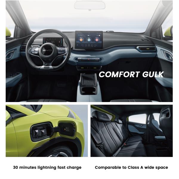 Adults Electric Car Byd Seagull 2025 405 Flying Version Of Small Family Car New Energy Vehicle