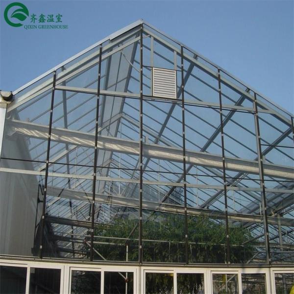 Galvanized Steel Structure Venlo Glass Greenhouse for Growing Vegetable Fruits Flowers