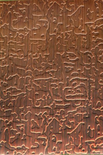 304 4' x 8' Patterned Decorative Color Stainless Steel Sheet Ships Building