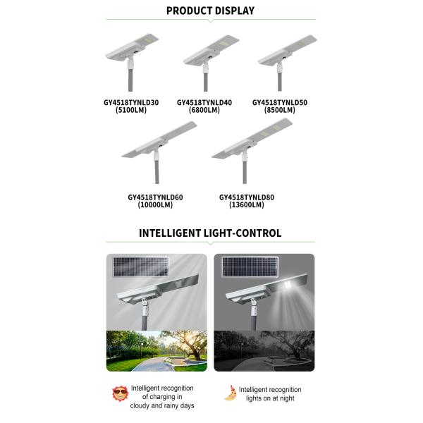 High Lumen 170lm/W Solar Powered Street LightsWith Motion Sensor