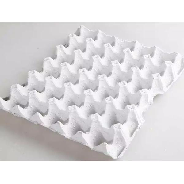 Recycle Paper Moulding Egg Tray Production Line , High Output Egg Box Machine