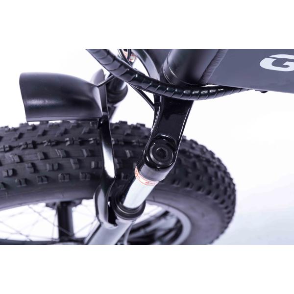 Black 20 Inch Electric Bike , Brushless Motor 36v Fat Wheel Electric Bike
