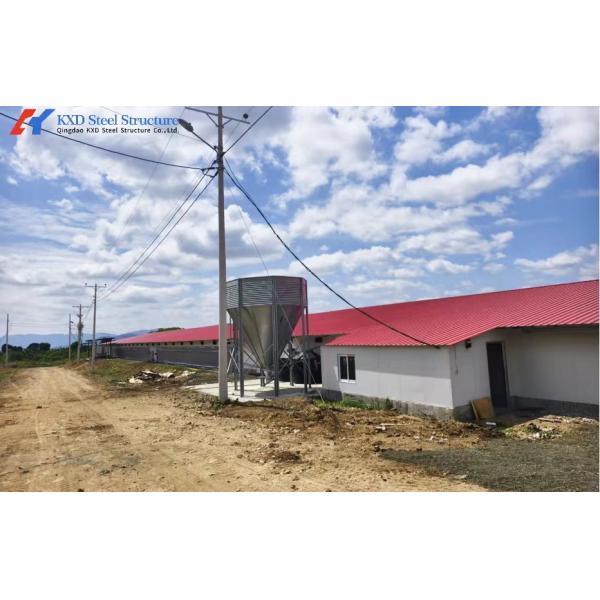 Fully Automatic Poultry Drinker , Broiler Chicken Drinker Customized