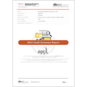 Shijiazhuang Zhengzhong Technology Co., Ltd Certifications