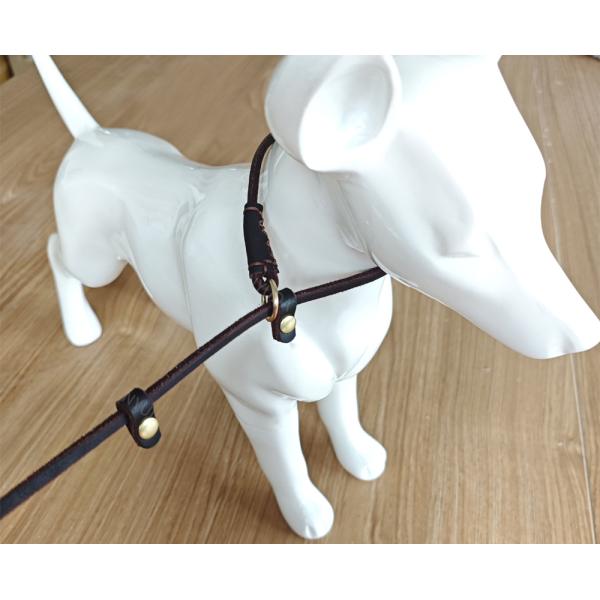 Lightweight Adjustable Durable Pet Genuine Leather Slip Lead For Small Medium Dogs