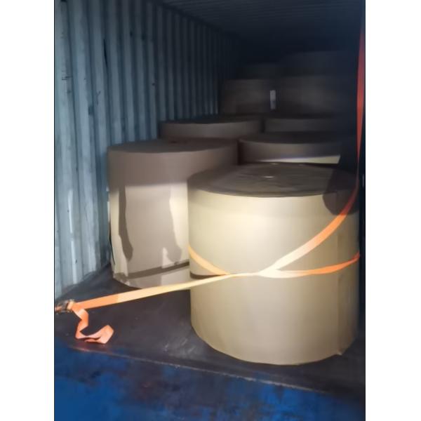 Customized White Top Testliner Board White Kraft Liner Board Packaging WTL