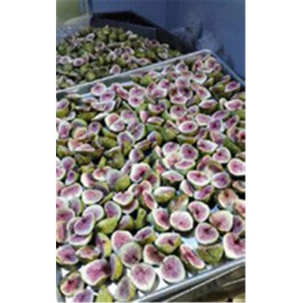 Steam Heating SUS316 GZLS Vacuum Drying Machine