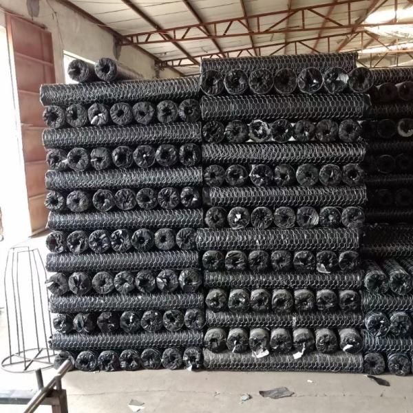 1"X 20ga Hexagon Wire Mesh Chicken Wire Mesh Roll For Poultry Farm Mesh Net