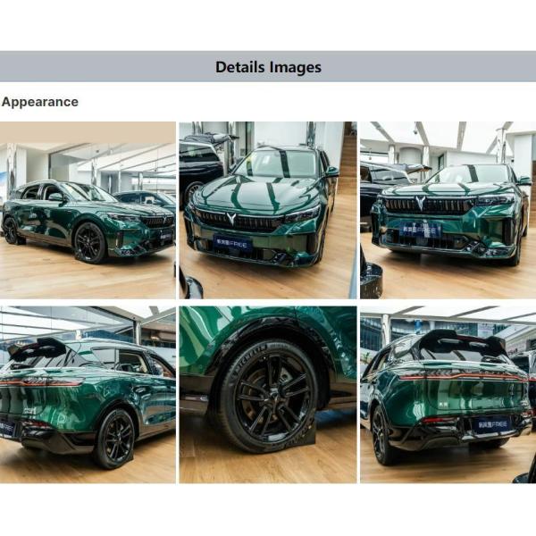 Voyah Free 2024 China 2023 New Energy Automotive 5-Door 5-Seat Large SUV Hybrid Electric Car