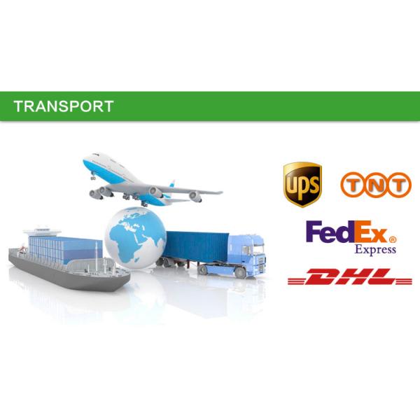 Cylindrical Single Row Roller Bearing NU310ECP NUP 310 ECP Steel Mill Motor Bearing size50*110*27mm