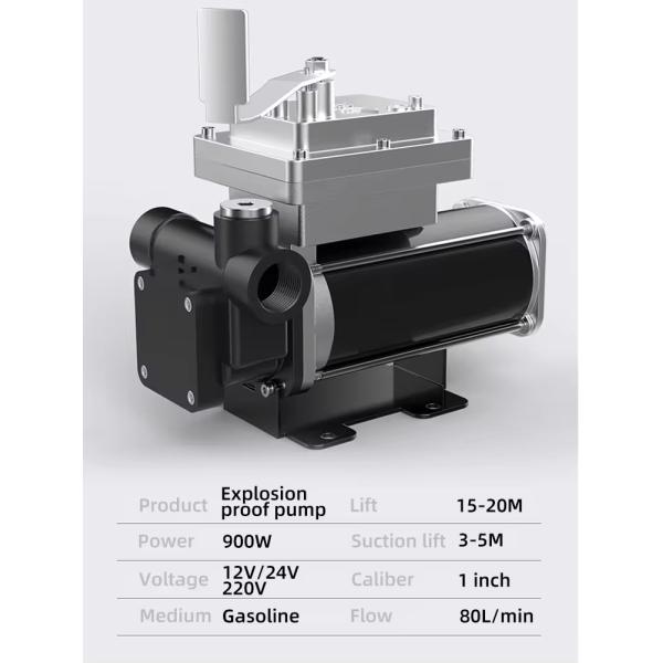 Oil Pump High Flow Compact Size 220 Volt 60L/min Portable Diesel Fuel Transfer Pump