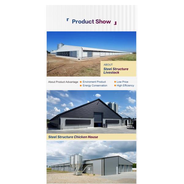 Modern Q355B Grade Metal Frame Building Poultry Farm Structure Long Life Span