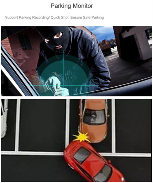 Panoramic 360 Degree Bird View Camera System , NTSC 3D Imaging System