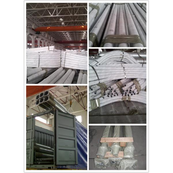 Hot Dip Galvanized Tasteful Double Arms Garden Lighting Pole With Powder Coated