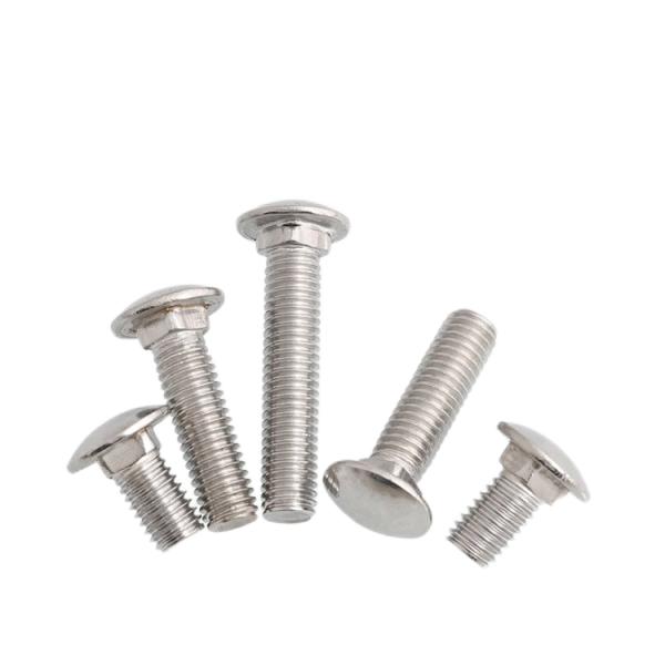 SS304 Stainless Steel M3 M4 M5 M6 M8 M10 Carriage Bolts with ISO9001 2015 Certificate
