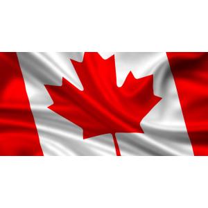 Quality 3x5 Canada National Polyester Single sided Flag wholesale