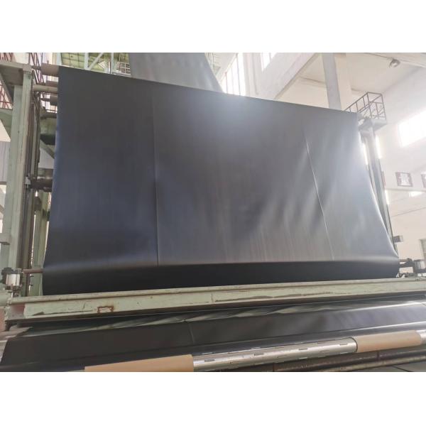 HDPE Geomembrane