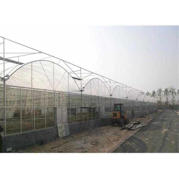 Double Layer Plastic Film Greenhouse Comprehensive Protection Designed