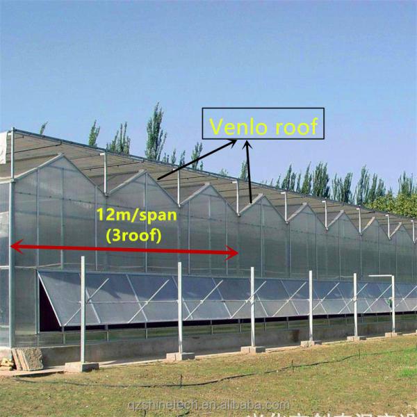 PC Plastic Polycarbonate Sheet Multi Span Hydroponic Greenhouse
