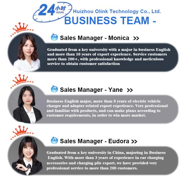 Olink Brand-new upgrade Adapter Ccs2 to Ccs1 Dc Fast Ev Charger 250a CCS 2 to CCS 1 Ev Connector for Electric Car