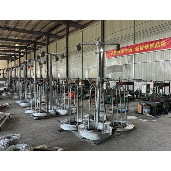 Electro-Galvanized Security Barbed Wire For Isolating And Protecting