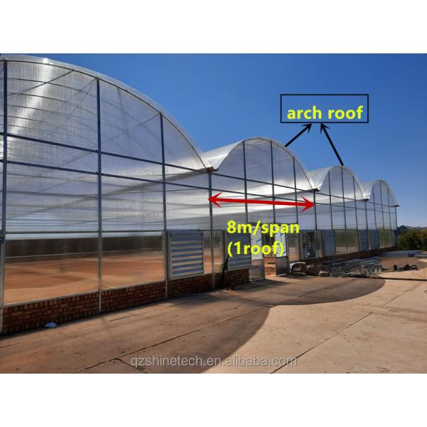 PC Plastic Polycarbonate Sheet Multi Span Hydroponic Greenhouse